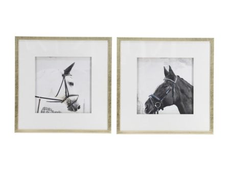 Set of 2 Horse Framed Prints.  The Horses  Prints. For Sale