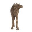 Camel Statue 18 cmH. Add this unique accent to a sophisticated home library, traditional office Hot on Sale