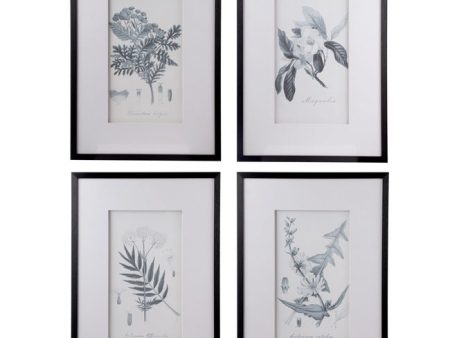 Set of 4 Flora & Fauna Framed Prints Behind Glass Online Sale