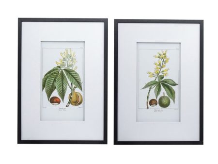 Leaves Flowers & Fruit set of 2 Wall Art Online