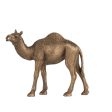 Camel Statue 18 cmH. Add this unique accent to a sophisticated home library, traditional office Hot on Sale