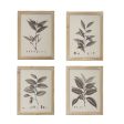 Botanical Wall Décor set of 4 Frames 40x53cm each Online Hot Sale