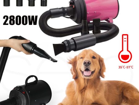 2800W Dog Dryer High Velocity Pet Dog Pet Blow Dryer Adjustable Speed 4 Nozzles For Discount