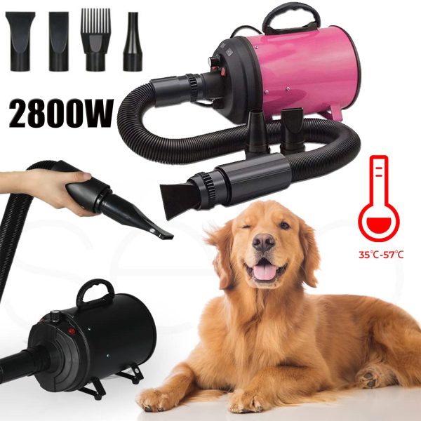 2800W Dog Dryer High Velocity Pet Dog Pet Blow Dryer Adjustable Speed 4 Nozzles For Discount