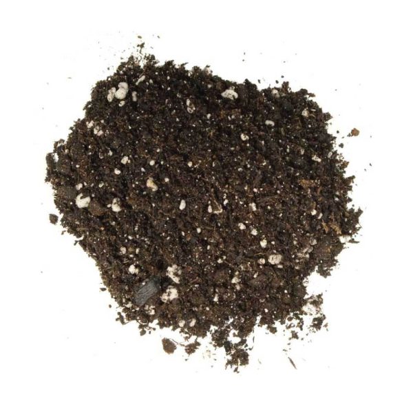 2L Premium Coco Perlite Mix - 70% Coir Husk 30% Hydroponic Plant Growing Medium on Sale