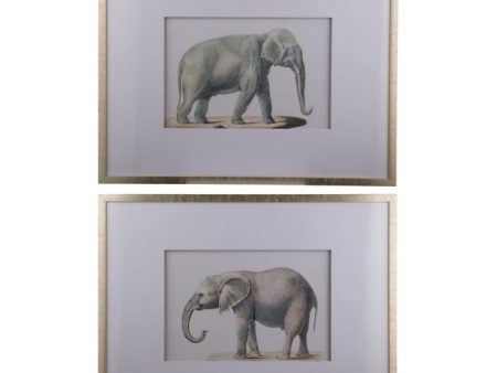 Set of 2 Elephant Framed Prints. Adult Elephant Framed Prints Online Sale