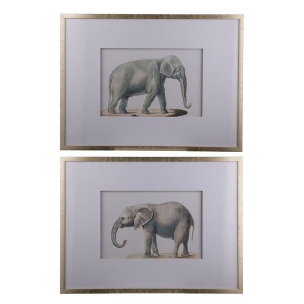 Set of 2 Elephant Framed Prints. Adult Elephant Framed Prints Online Sale