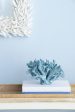 Faux Blue Coral B. Use this piece to accent your ocean-inspired decor theme Supply