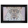 Leopard Portrait Wall Art 110x80cmh African-themed artwork. Solid Frame. For Cheap