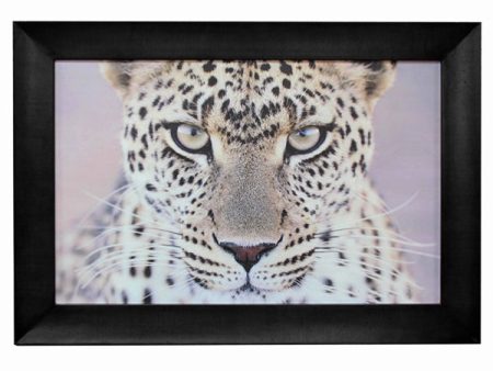 Leopard Portrait Wall Art 110x80cmh African-themed artwork. Solid Frame. For Cheap