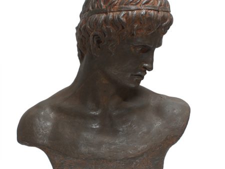 Atticus Bust. A nod to classic sculpture, on Sale